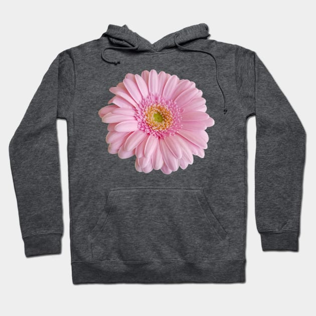 Pink Gerbera for Mom on Mothers Day Hoodie by ellenhenryflorals